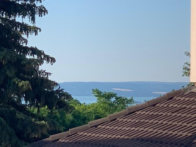Villa Loft Pihenő és Wellness Ház Balatonfüred Exterior foto